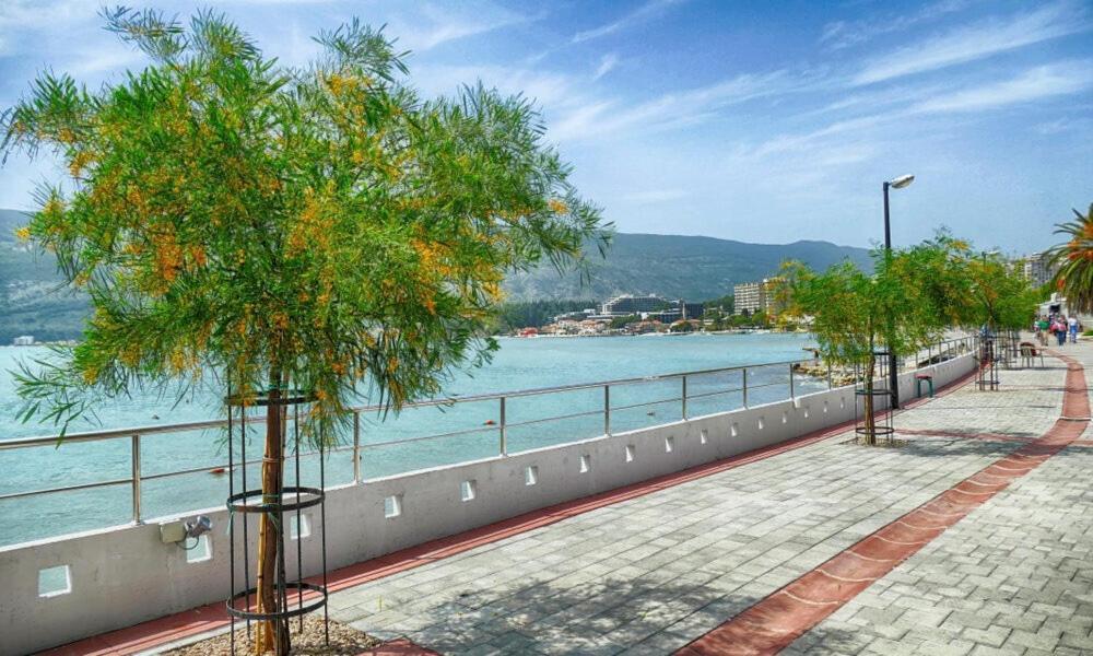 Villa Montanja Херцег-Нови Экстерьер фото